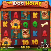 GalacticBet - The Dog House Slot Game